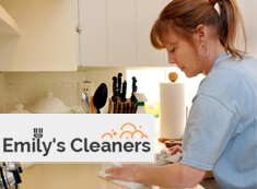 Domestic Cleaners Islington