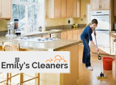 Domestic Cleaners N1