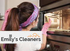 Oven Cleaning Islington