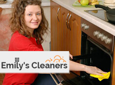 Oven Cleaning N1