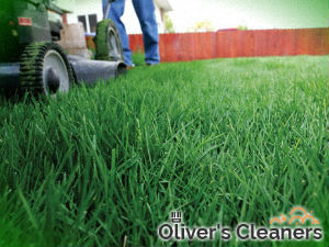 grass-cutting-services-islington