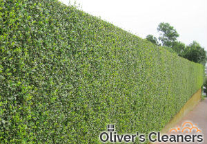 hedge-cutting-maintenance-islington