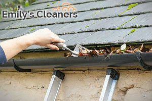 professional-gutter-clenaers-islington